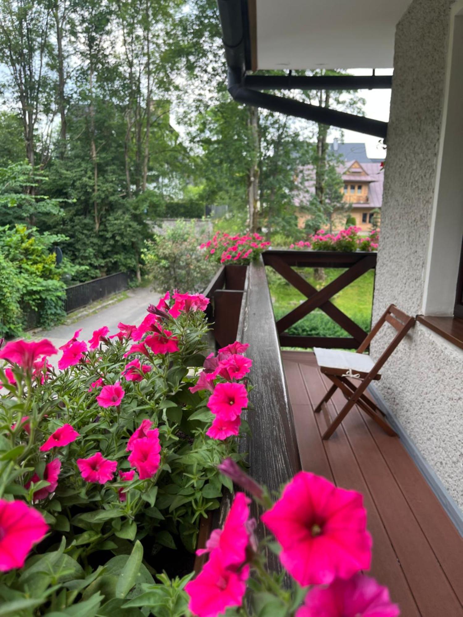 Bed and breakfast Marina Zakopane Chambre photo
